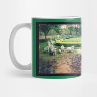 Counting Sheep Mug